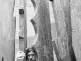 Galerie - Ecran bois -1957